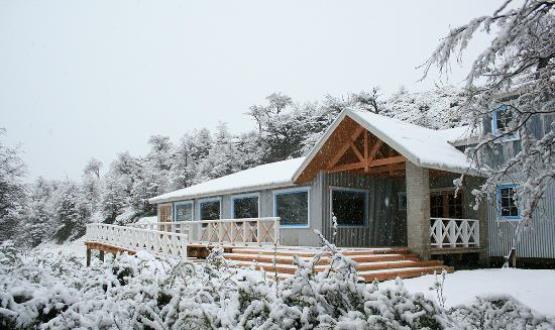 Refugio Grey